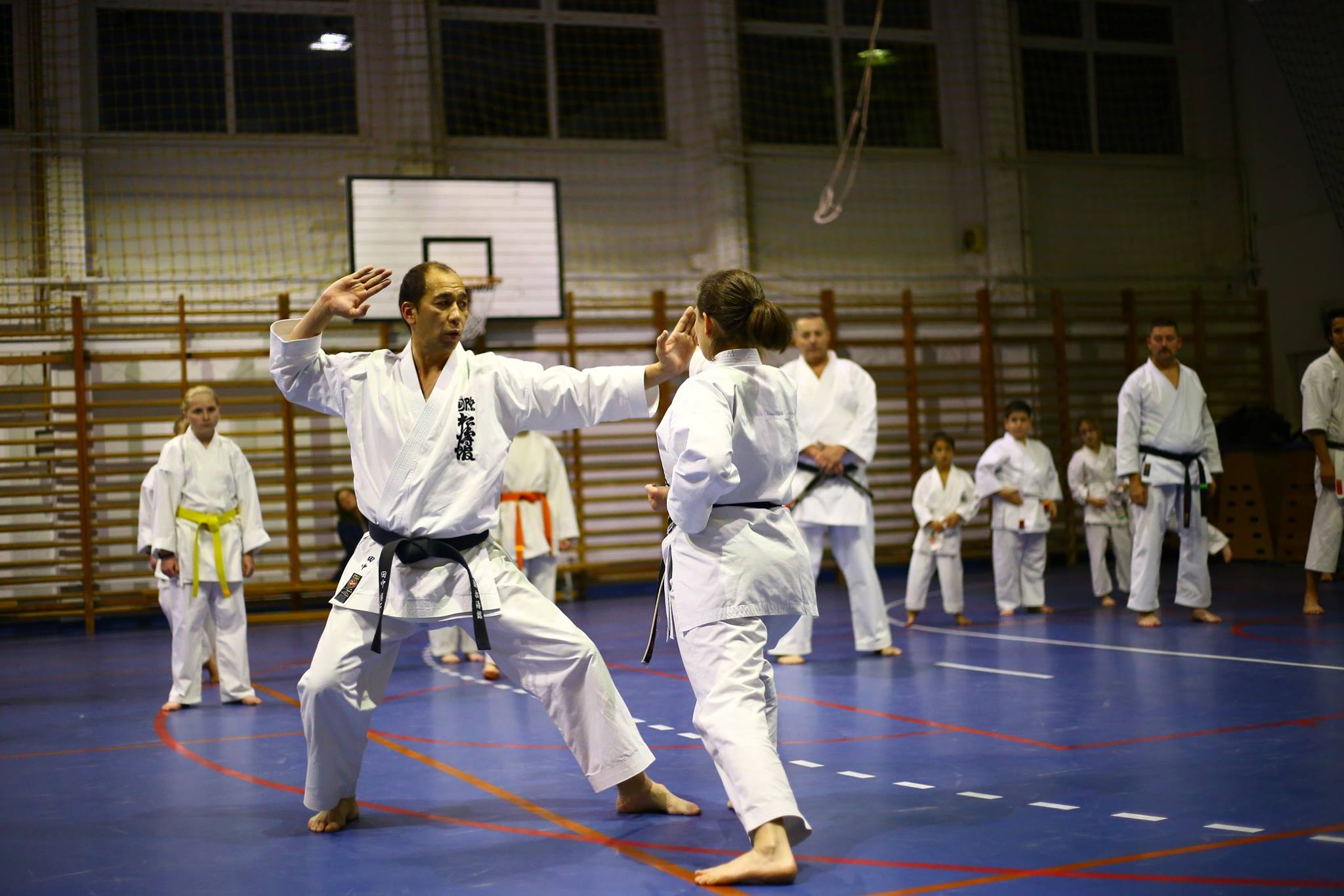 tanaka2